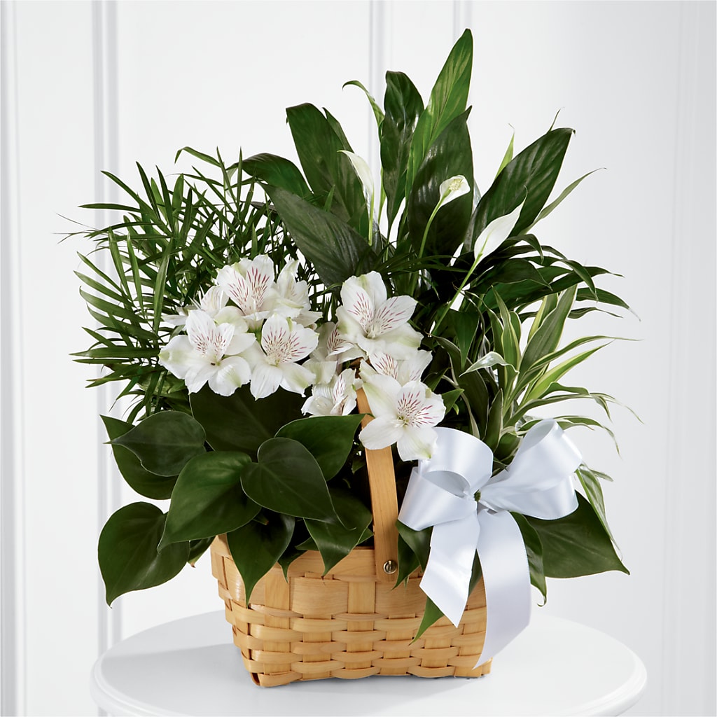 Peace & Serenity Dishgarden – County Seat Florist, Mays Landing NJ