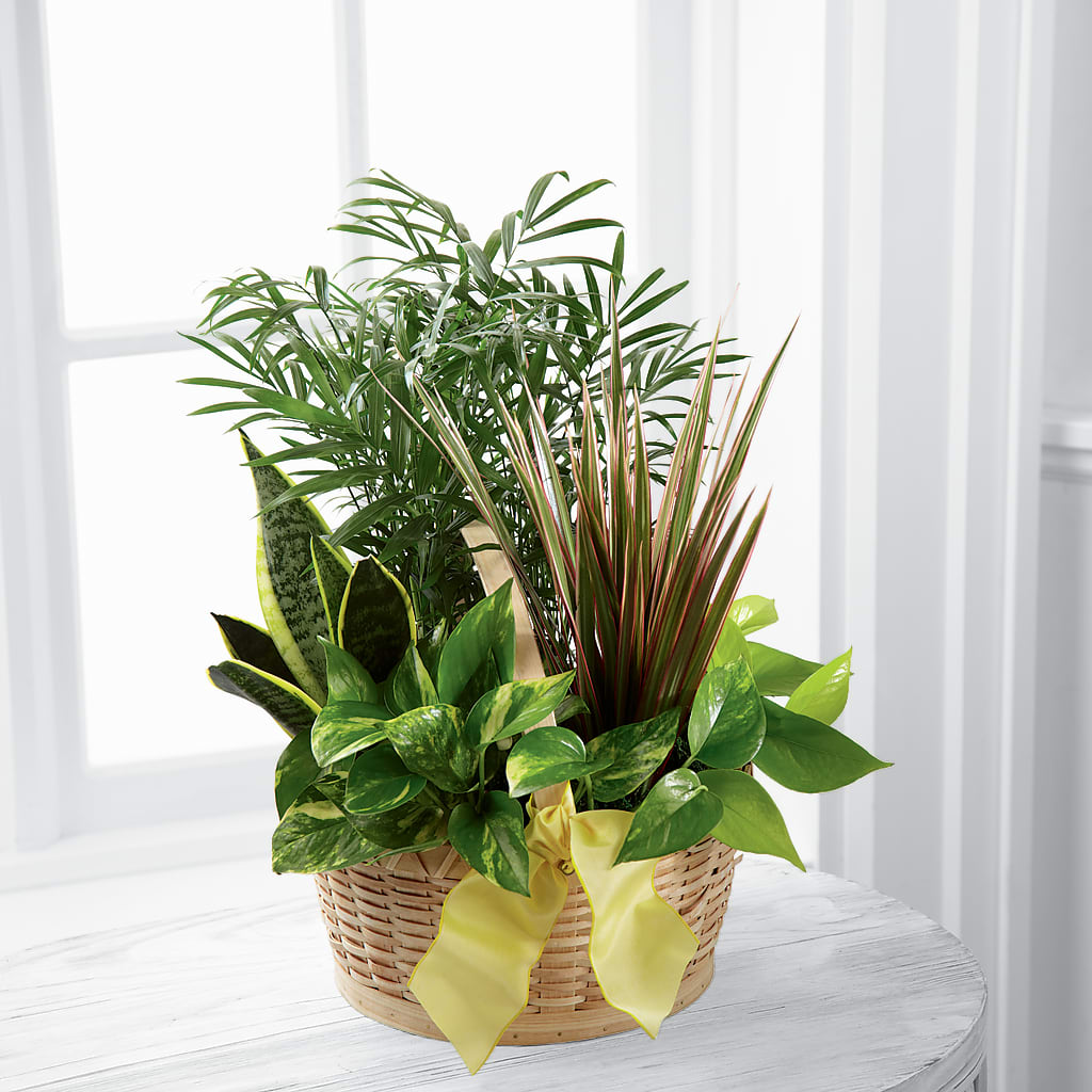 French Garden – County Seat Florist, Mays Landing NJ