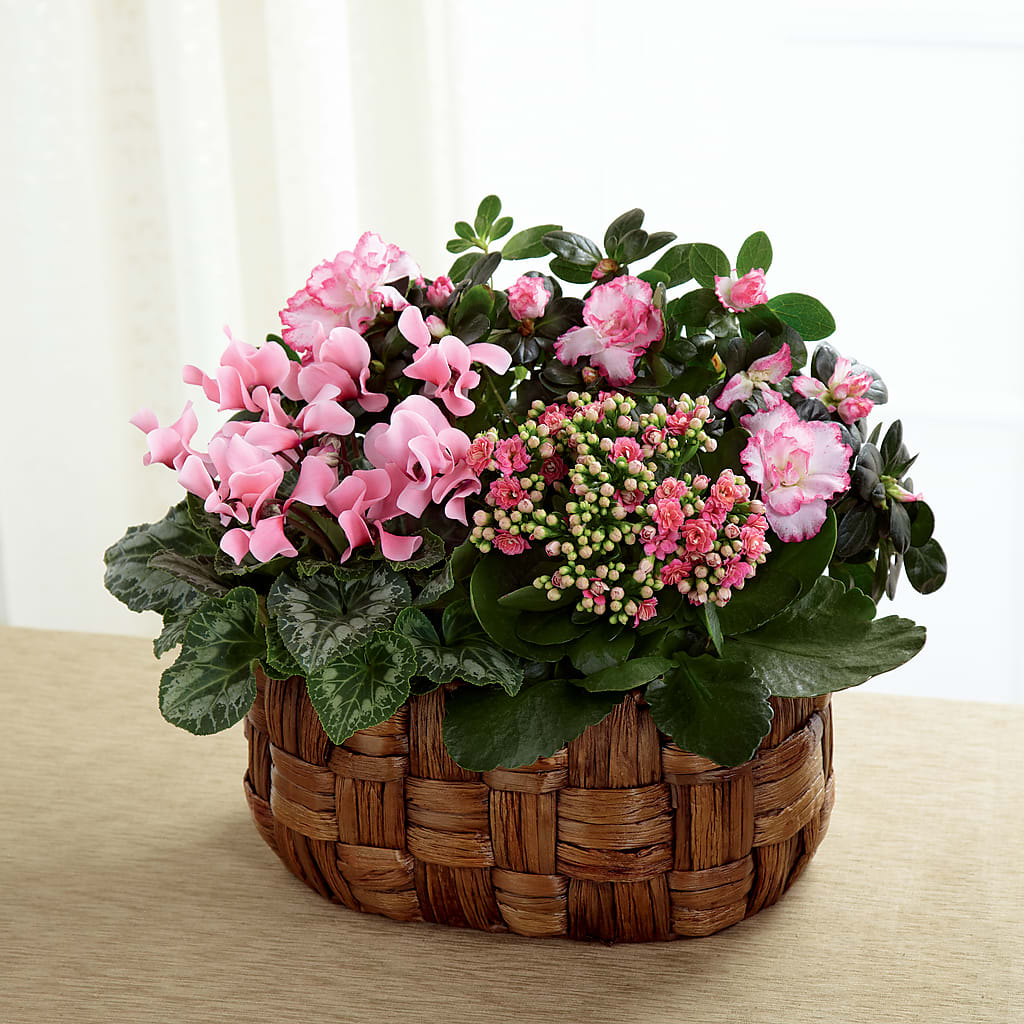 Pink Assortment – County Seat Florist, Mays Landing NJ