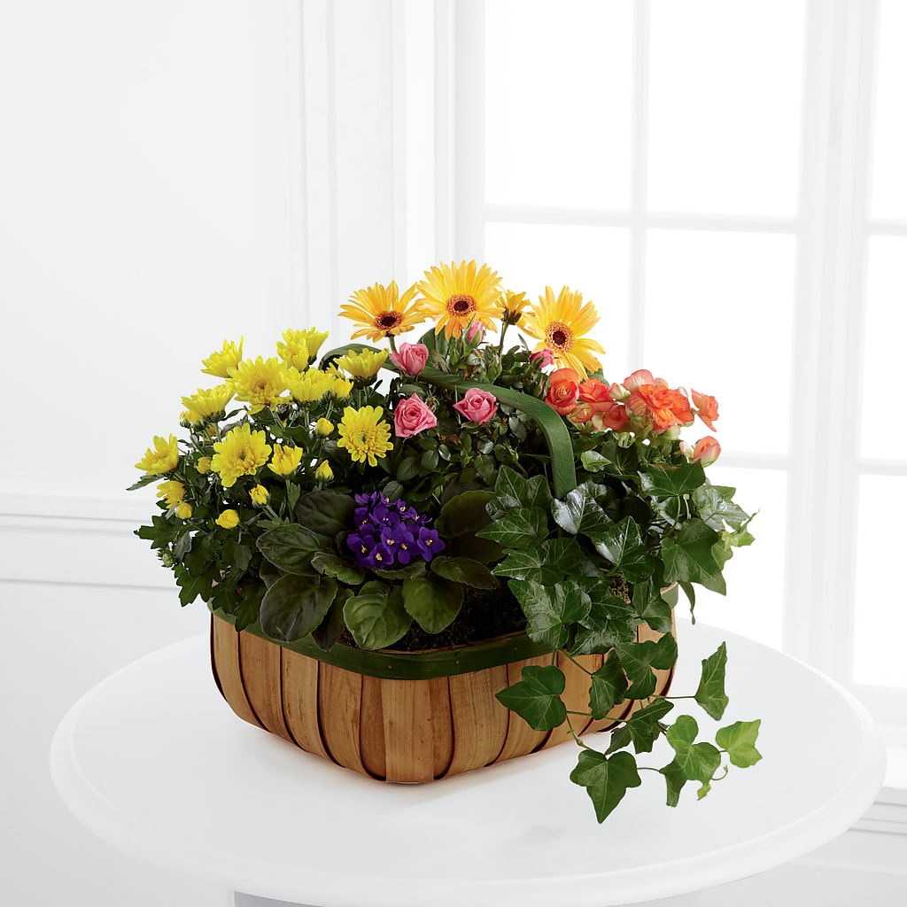 Gentle Blossoms Basket – County Seat Florist, Mays Landing NJ