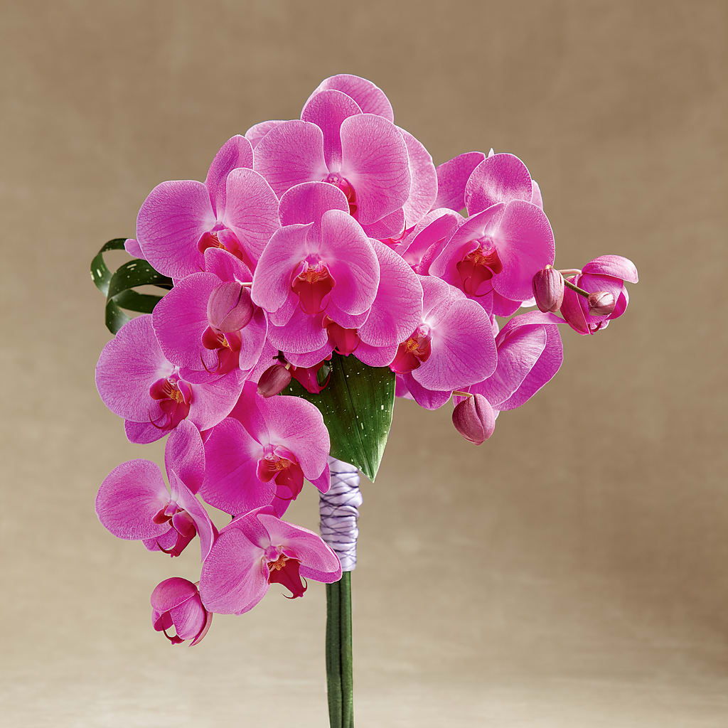 Glorious Bouquet – County Seat Florist, Mays Landing NJ