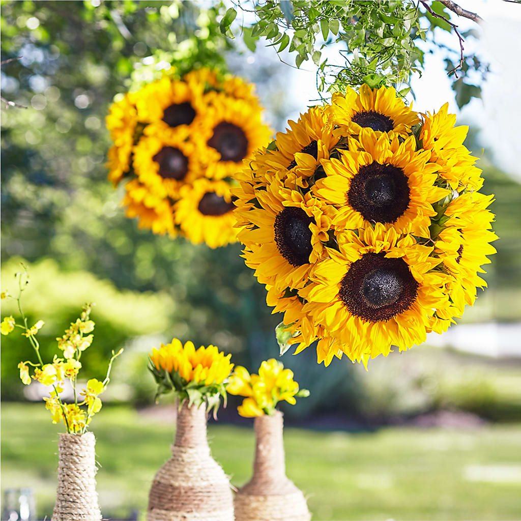 Sublime Garden Hanging Arrangement – County Seat Florist, Mays Landing NJ