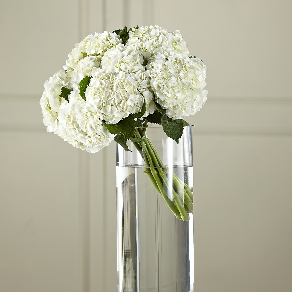 White Hydrangea Hand-Tied Bouquet – County Seat Florist, Mays Landing NJ