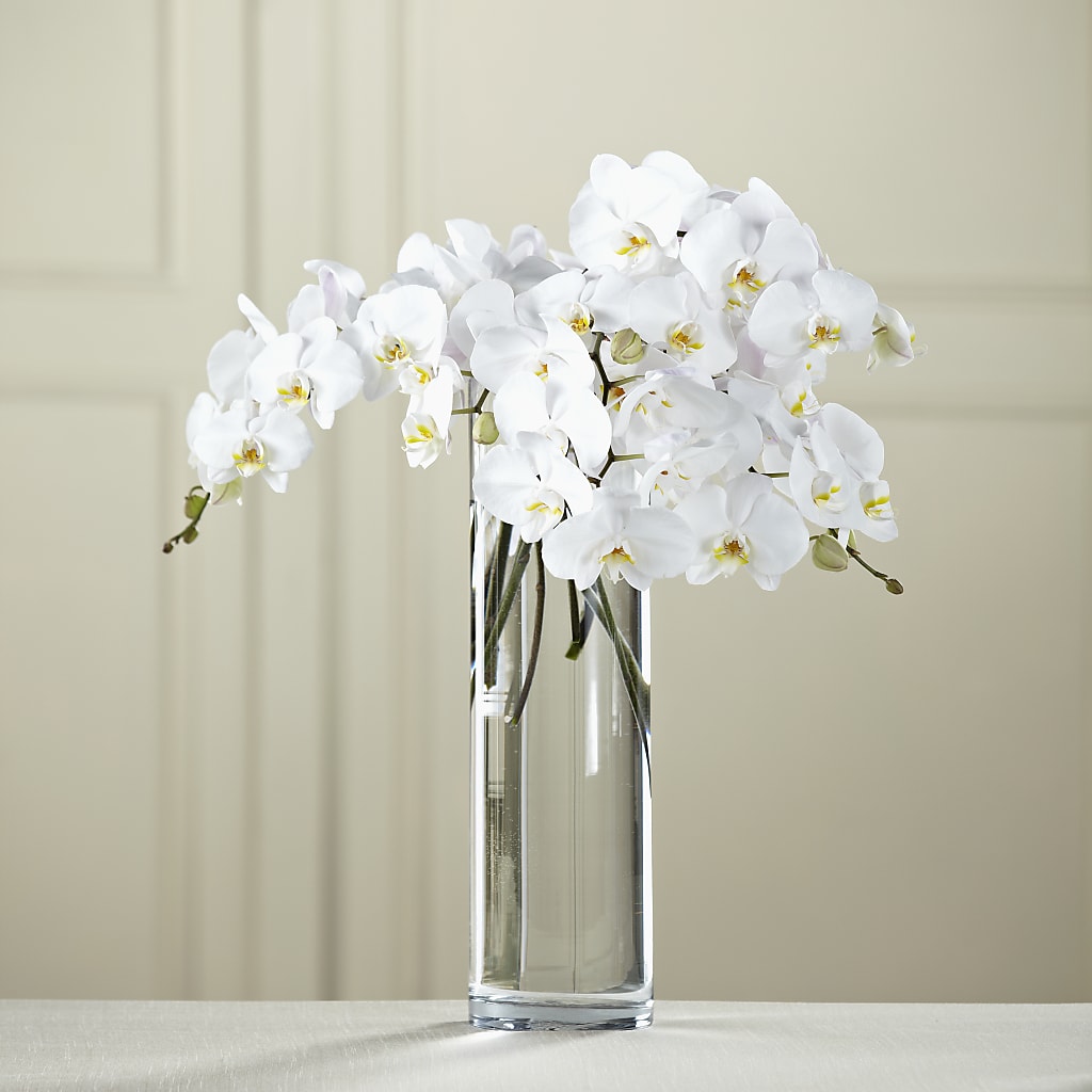 White Phalaenopsis Bouquet – County Seat Florist, Mays Landing NJ