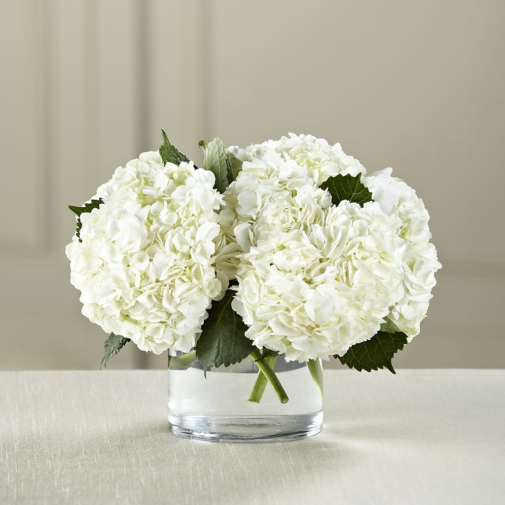 White Hydrangea Bouquet – County Seat Florist, Mays Landing NJ