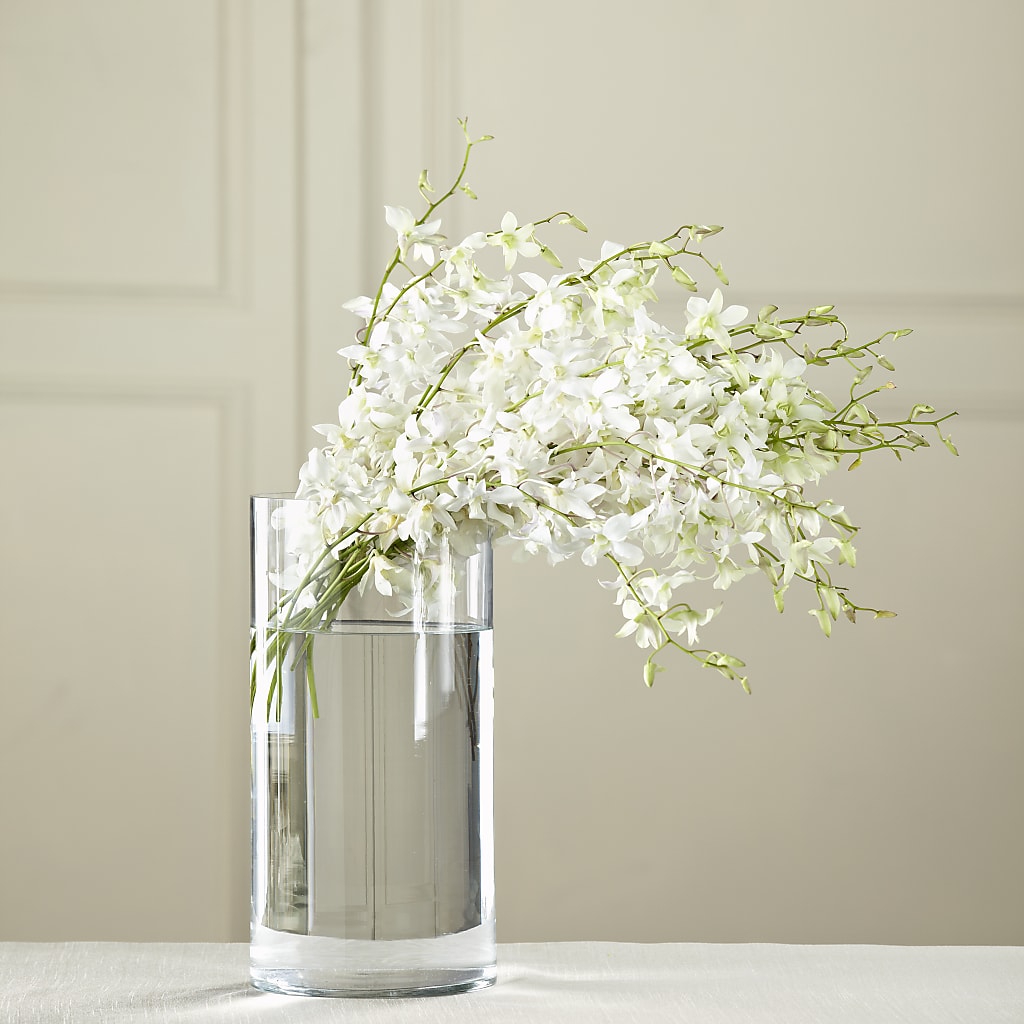 White Dendrobium Bouquet – County Seat Florist, Mays Landing NJ