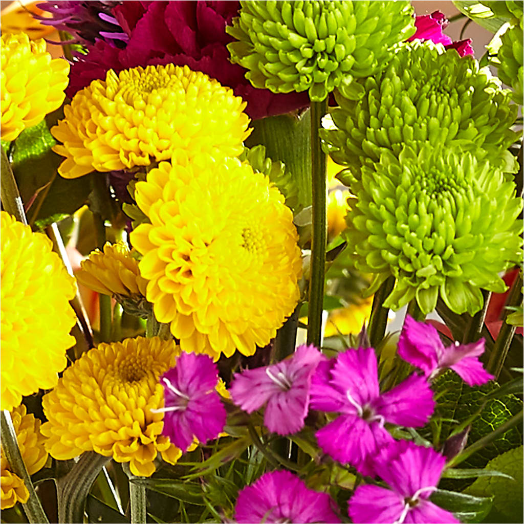 Bold & Bright – A Florist Original –  County Seat Florist, Mays Landing NJ