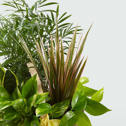 French Garden –  County Seat Florist, Mays Landing NJ