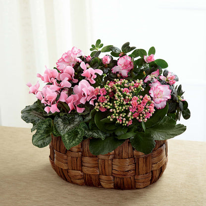 Pink Assortment –  County Seat Florist, Mays Landing NJ