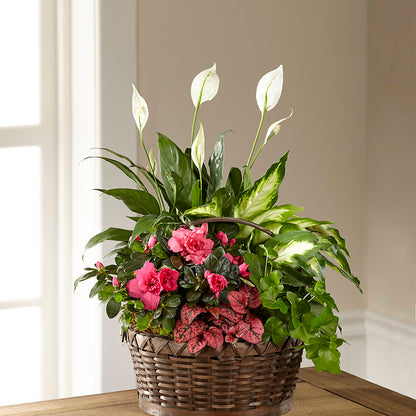 Dream in Pink Dishgarden –  County Seat Florist, Mays Landing NJ
