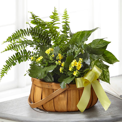 Always Dear Dishgarden –  County Seat Florist, Mays Landing NJ