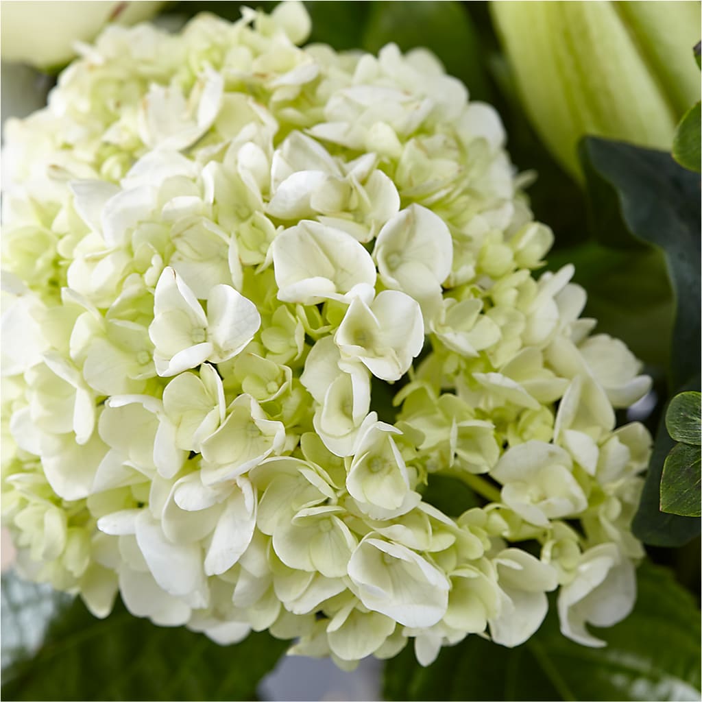 Classic Ivory – A Florist Original –  County Seat Florist, Mays Landing NJ