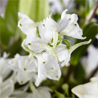 Classic Ivory – A Florist Original –  County Seat Florist, Mays Landing NJ