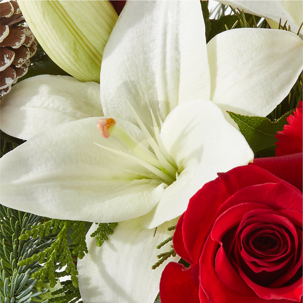 Oh So Jolly Bouquet –  County Seat Florist, Mays Landing NJ