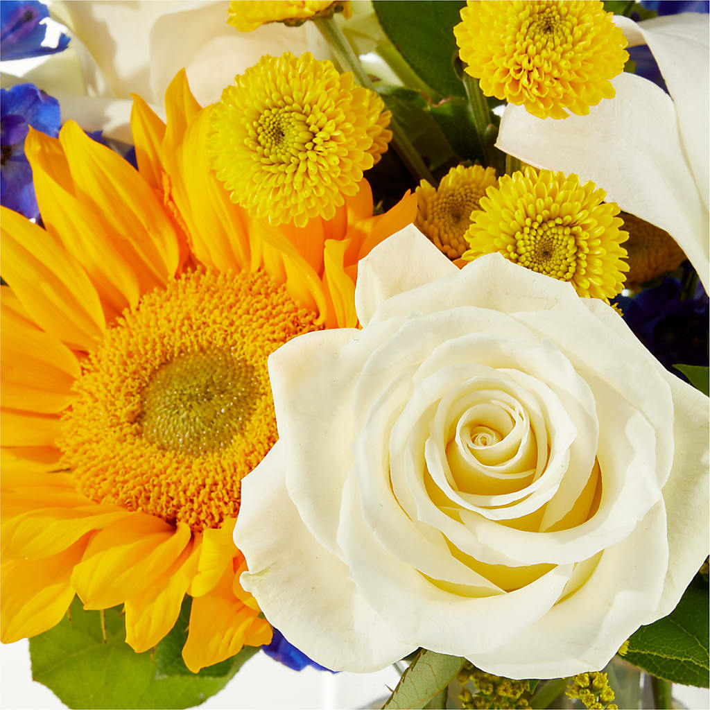 Stargazing Bouquet –  County Seat Florist, Mays Landing NJ