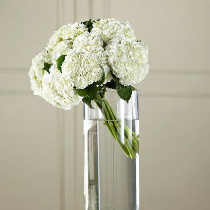 White Hydrangea Hand-Tied Bouquet –  County Seat Florist, Mays Landing NJ