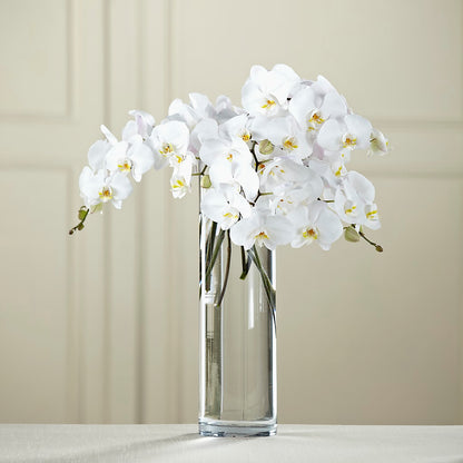White Phalaenopsis Bouquet –  County Seat Florist, Mays Landing NJ