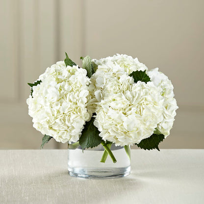 White Hydrangea Bouquet –  County Seat Florist, Mays Landing NJ